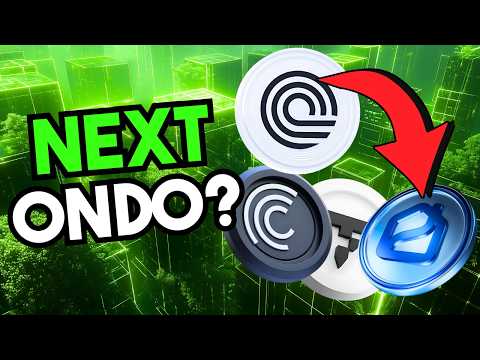 9 Tiny RWA Crypto Altcoins That Could Get BIG in 2025! BlackRock’s Next Crypto Target? (Think ONDO)