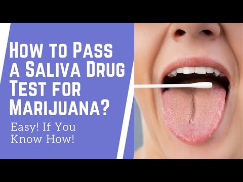 How to Pass a Saliva Drug Test for Marijuana in 2025: Easy! If You Know How!