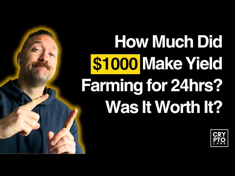 My $1000 Defi Portfolio Earnings After 24 Hours Yield Farming.