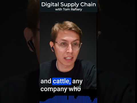 Satellite Data: The Future of Supply Chain Compliance? A Dive with LiveEO