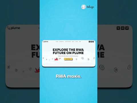 What the hell is the Plume Network – RWA Chain!?