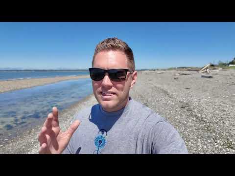 XRP Staking & Passive Income