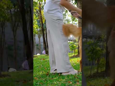 INKT BQ FTFT AZI OMNI (Mink Therapeutics, Boqii Holding, Future Fintech, Autozi Internet, Network) 2