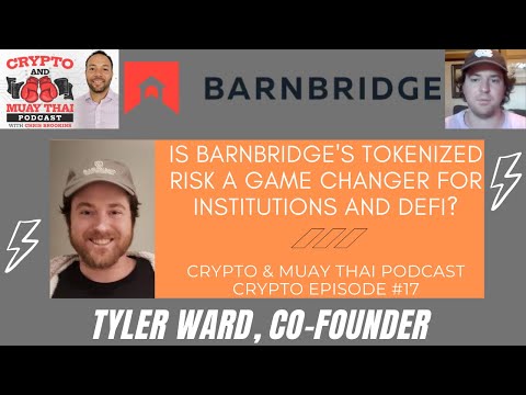 Is BarnBridge's ($BOND) "Tokenized Risk" A Game Changer for Institutions and DeFi?