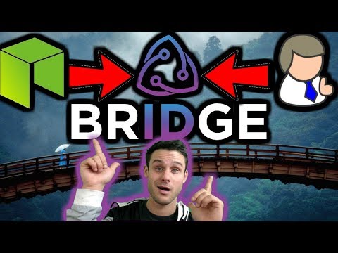 NEO Identity Solution | The Bridge $TOLL | KYC and AML✅| MVP Just Released! | NEO Crypto News