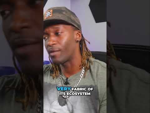 Options Traders: Crypto Fintech Opportunity Unveiled! Bullish!!