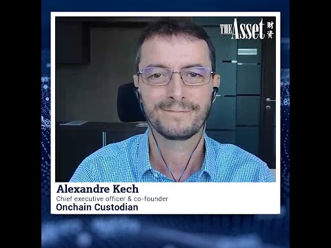 Should distributed ledger technology be decoupled from digital securities?