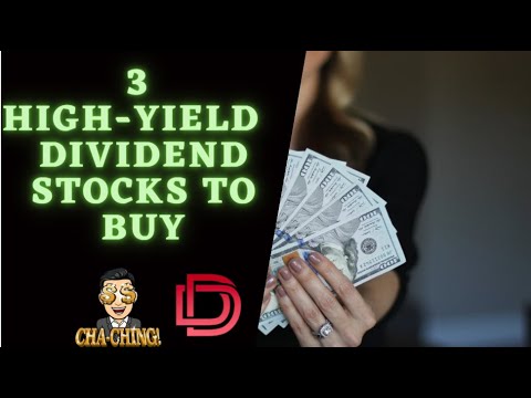 3 Dividend Stocks to Buy and Hold Forever Reviews I Highest Paying Dividend Stocks