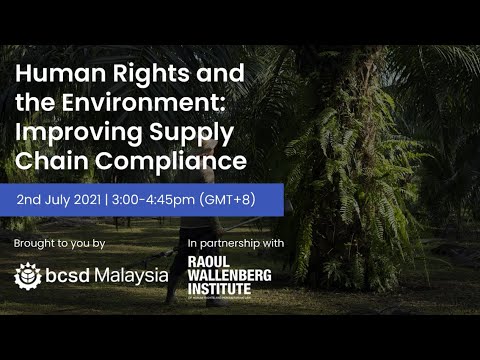 Human Rights and the Environment: Improving Supply Chain Compliance