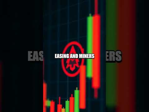 Beyond the Buzz: Liquidity Bridges and DeFi in Today's Crypto Market